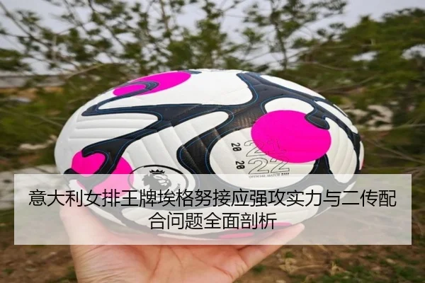 yi-da-li-nv-pai-wang-pai-ai-ge-nu-jie-ying-qiang-gong-shi-li-yu-er-chuan-pei-he-wen-ti-quan-mian-pou-xi-2-355.jpg