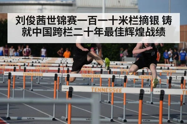 110m hurdles race
